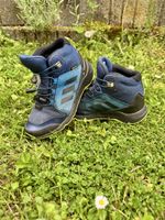Adidas Terrex Gore-Tex Kids Hiking Shoes – Size EU 31 