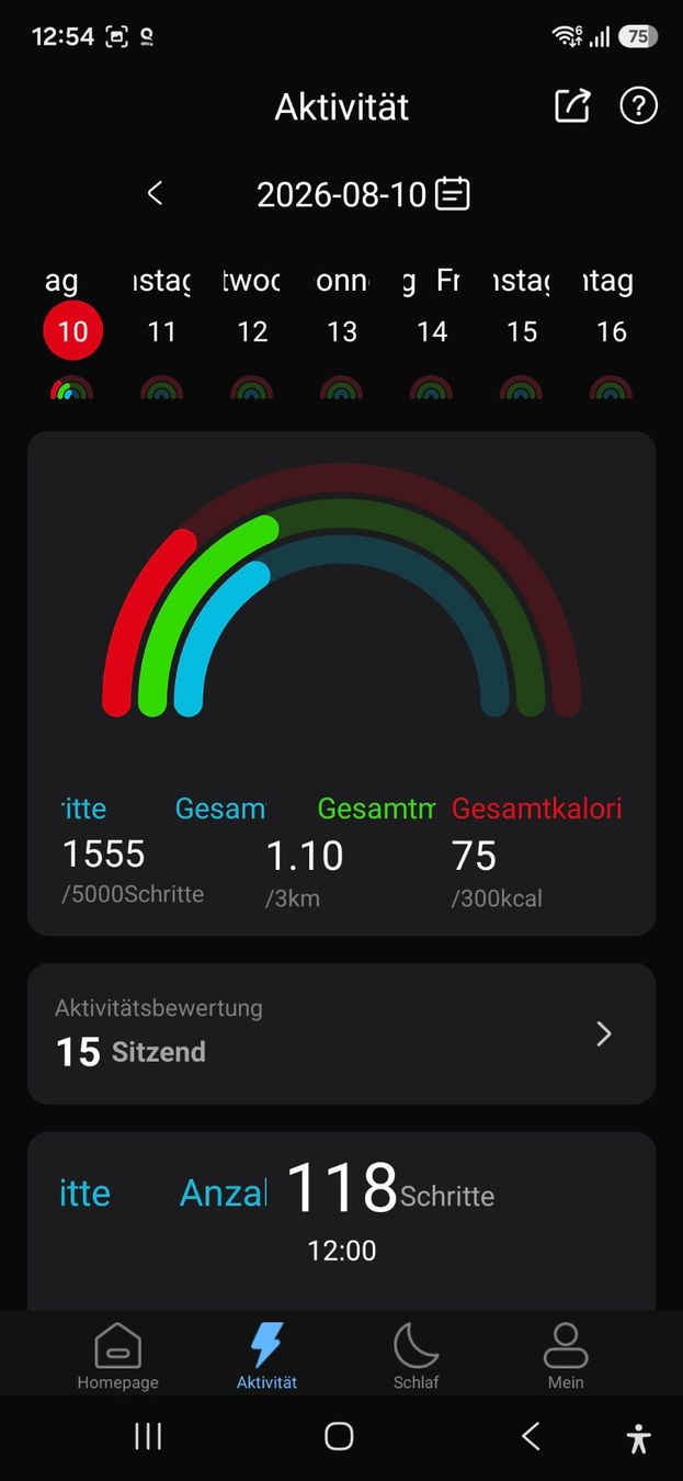 Smart Smartwatch: Smart Ring Grösse 13 Neuwertig – Usato da Bern venduto da Wario 5