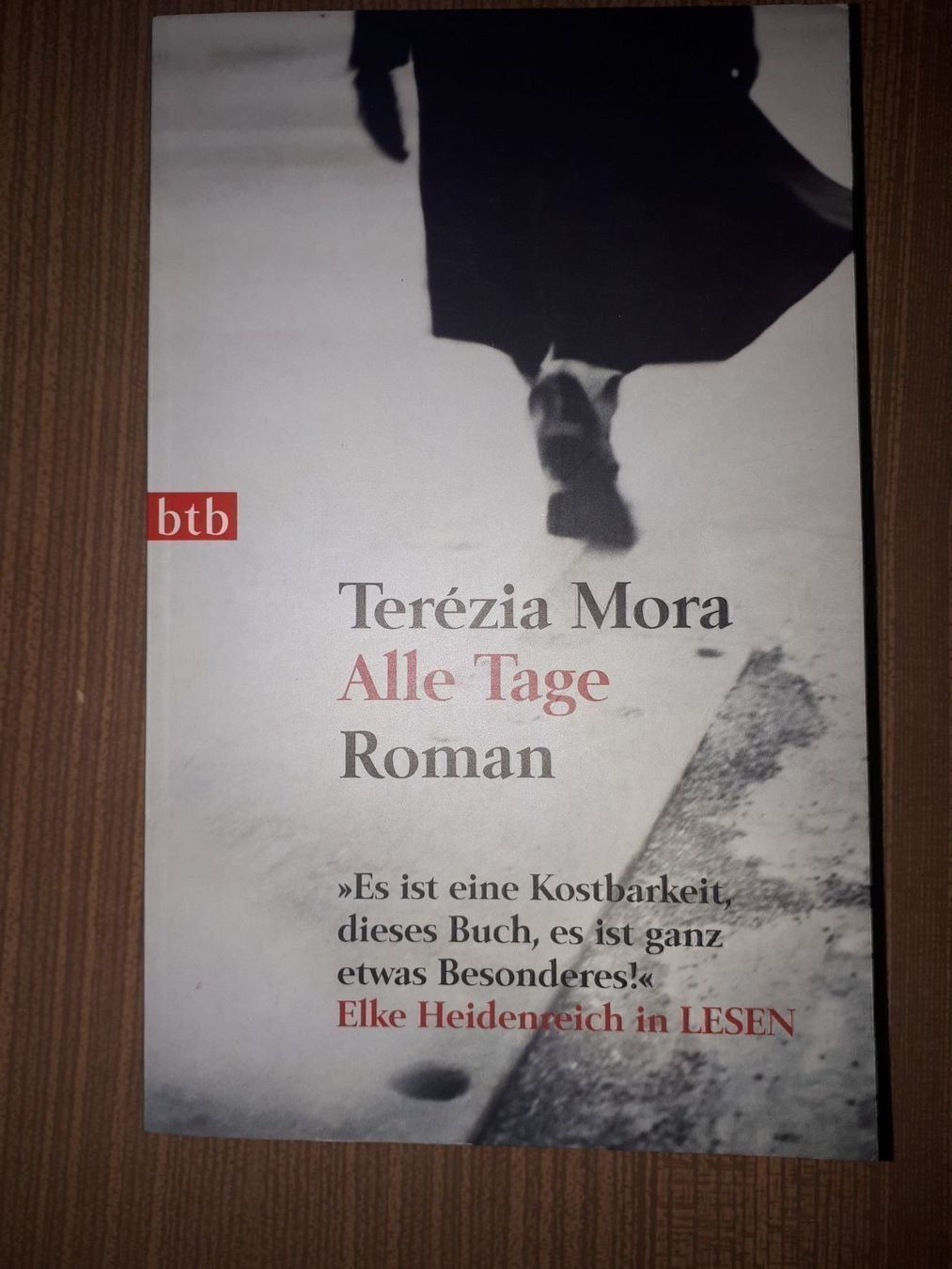 Bücher: Terezia Mora Alle Tage – Gebraucht aus Basel von Alacant