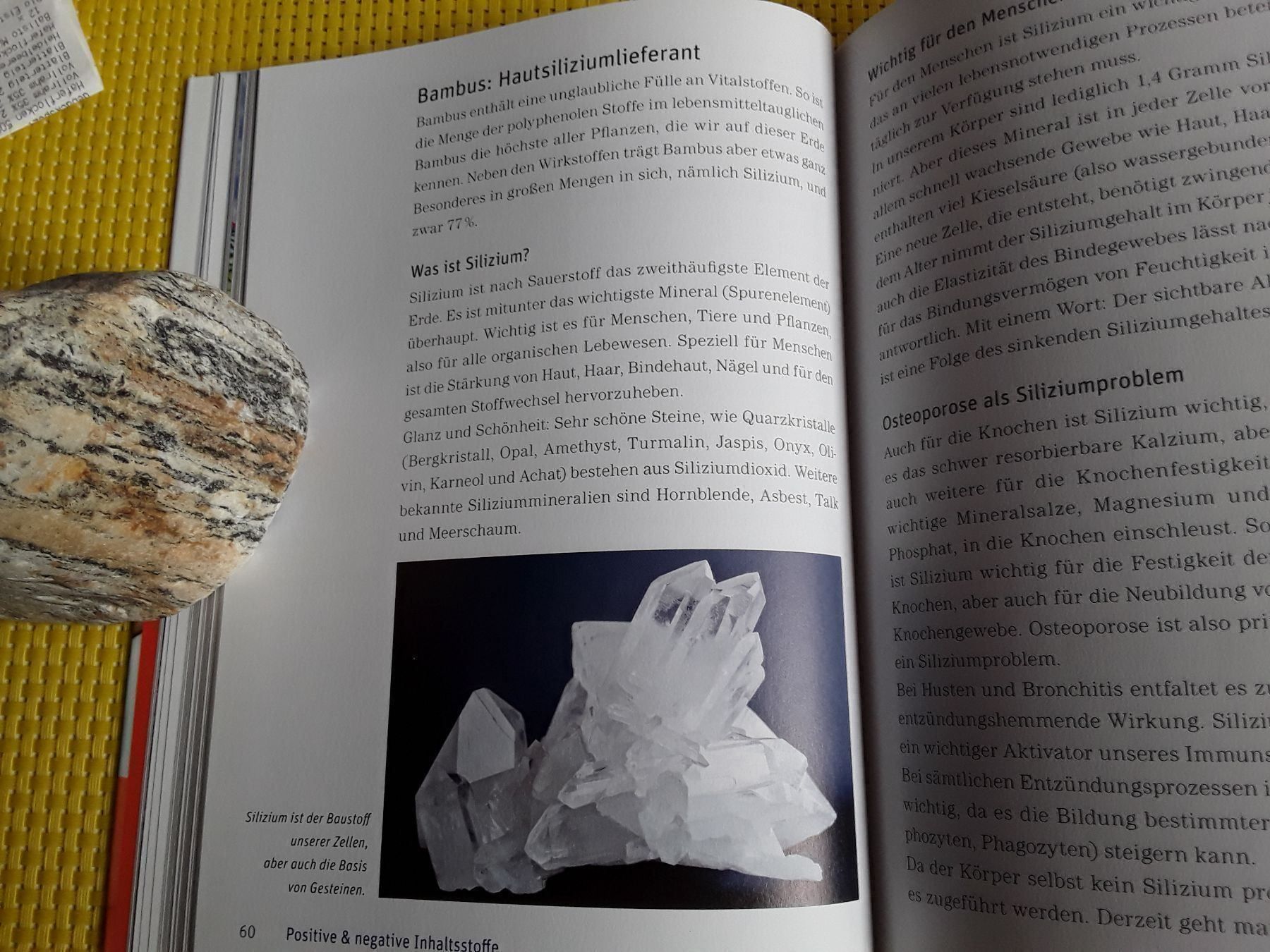 Libri: Das Vitalpflasterbuch – Nuovo e nell'imballaggio originale da Rebstein venduto da Buchsi03 9