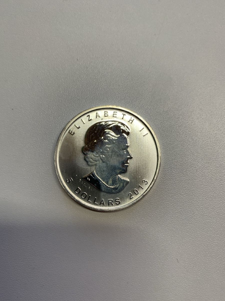 Alle Münzen: Maple Leaf Silber 2013 – Gebraucht aus Wiggen von Antoniotto 1