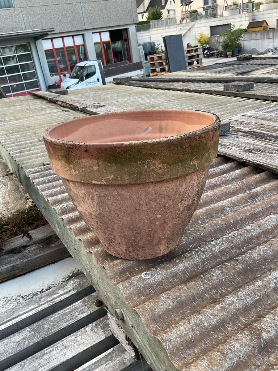 Pots de fleurs: Blumentopf Ton Durchmesser ca. 39cm gebraucht – D'occasion à Lömmenschwil par Gartbau