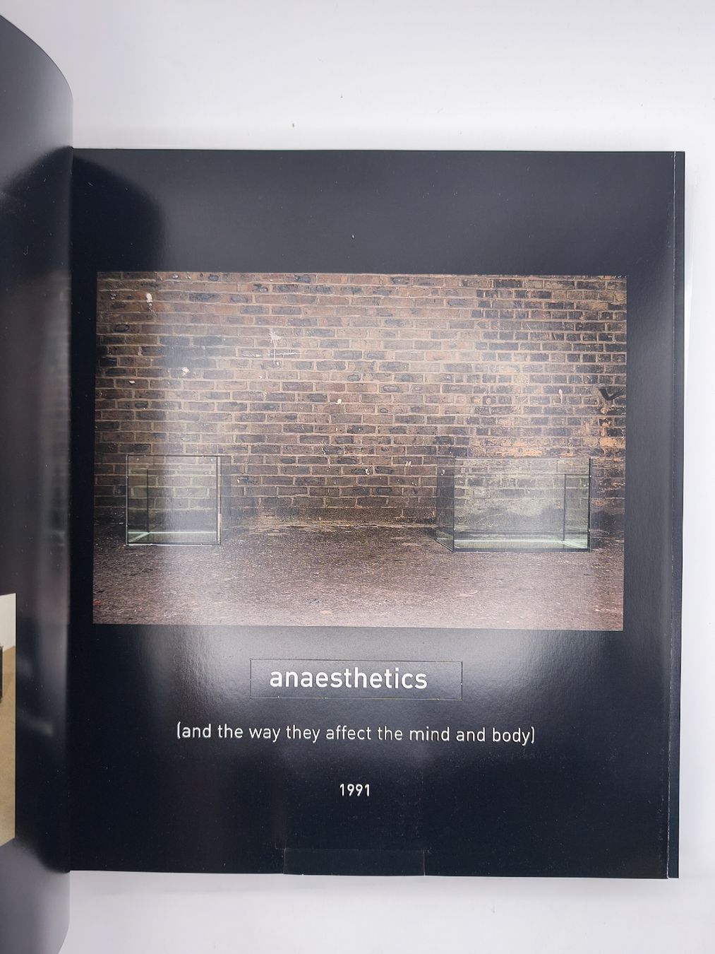 Bücher: DAMIEN HIRST – Gebraucht aus Goldach von Gaip 3