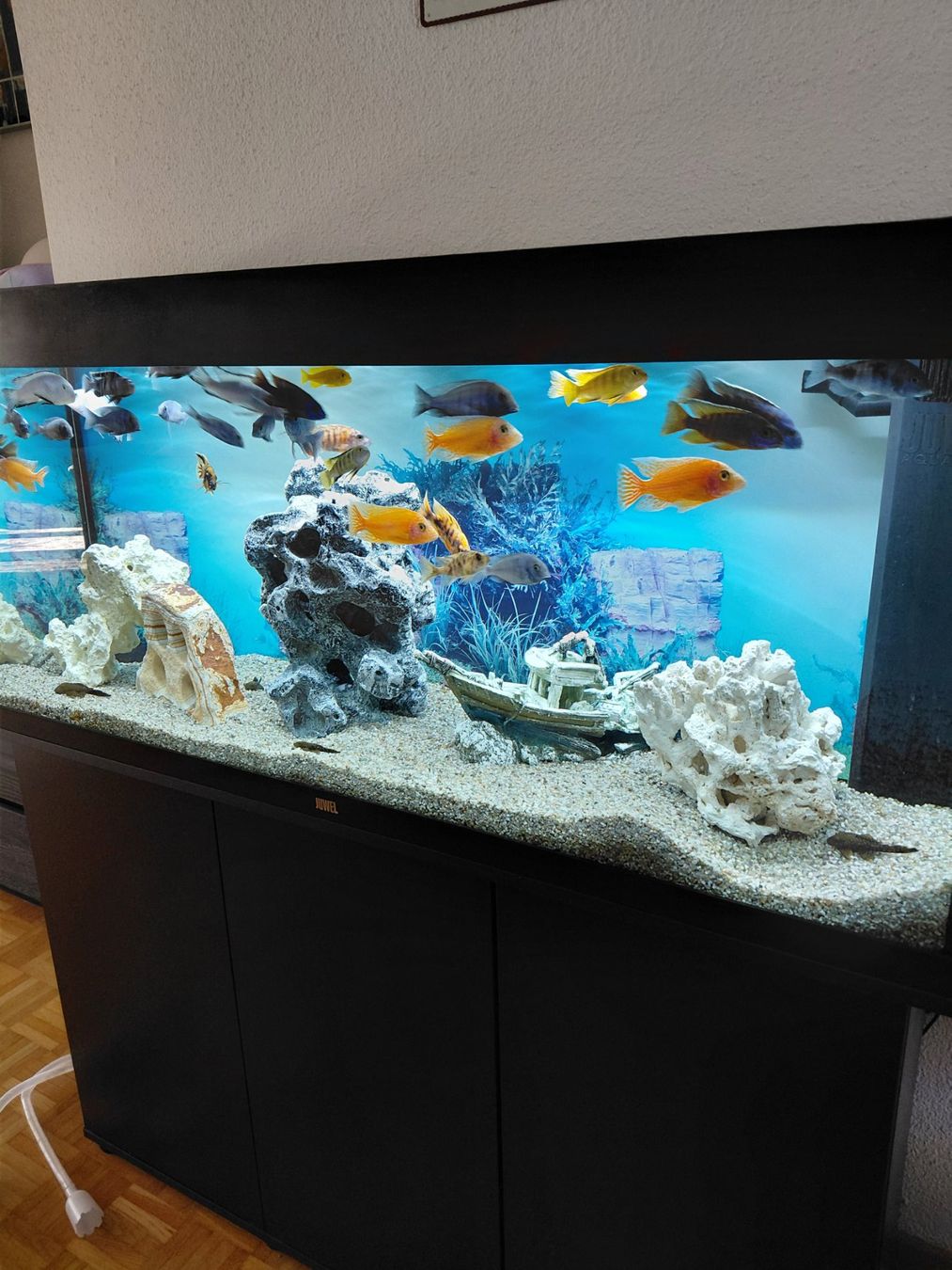 Acquari: AQUARIUM JUWEL 120CM – Usato da Zürich venduto da Grancanaria