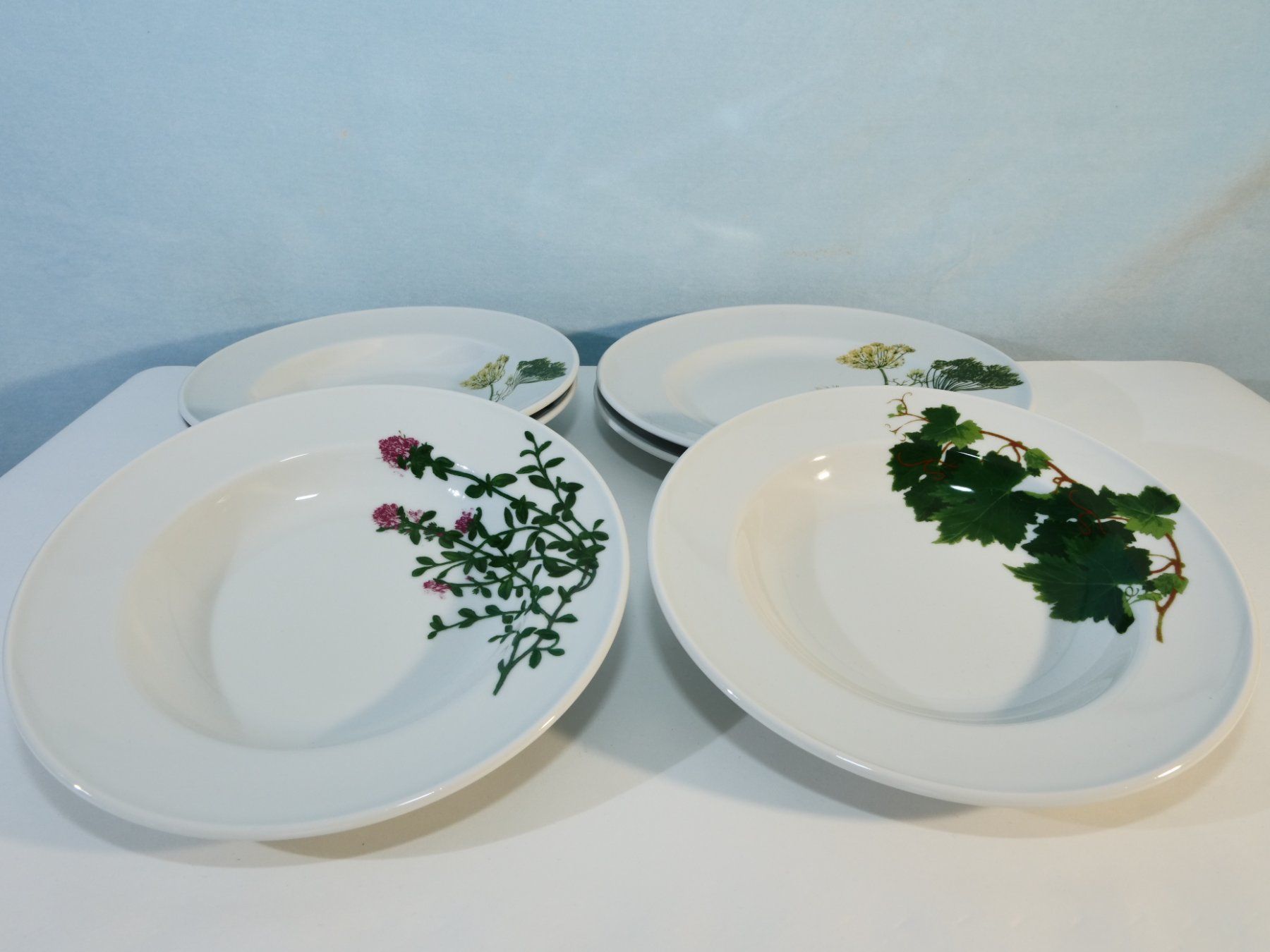 Dibbern Piatti: Dibbern Schösswald Teller Set, Kräuter Design, Top – Usato da Lustmühle venduto da Glatisant 6