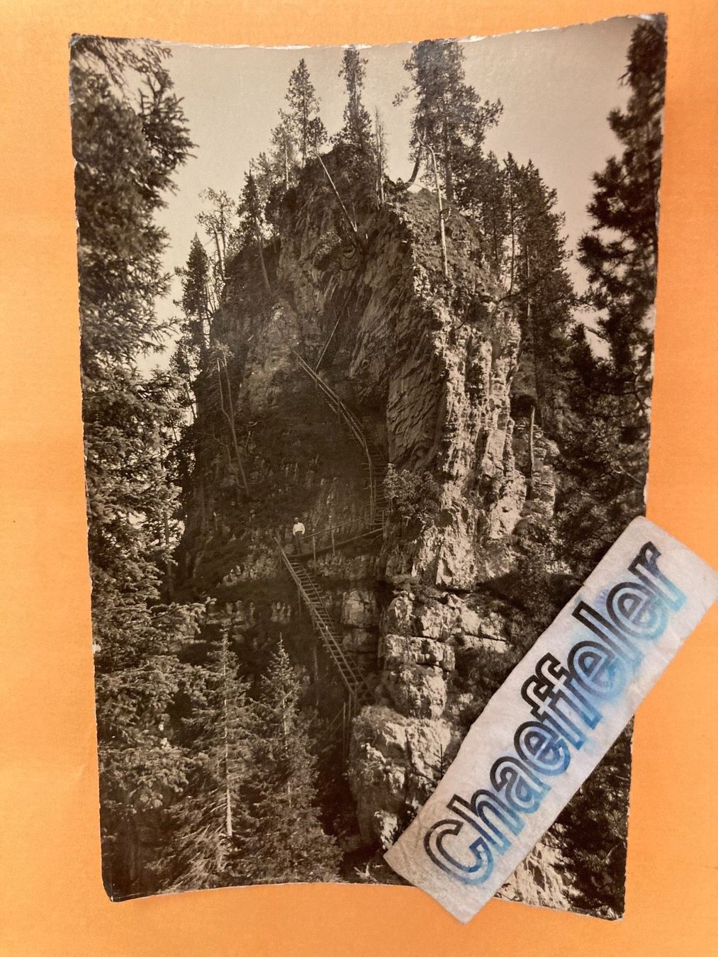 Cartoline postali: 1948 Beatenberg, Birrenfluh – Usato da Zürich venduto da Chaeffeler