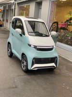 Elektromobil Eco Mini