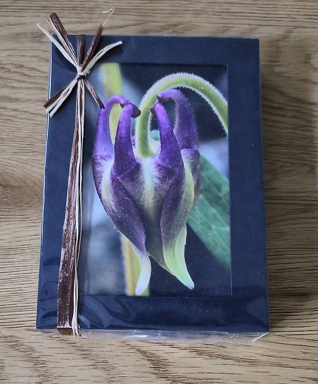 Altro per la casa: Notizbox Akalei violett NEU – Usato da Chur venduto da Frei3912