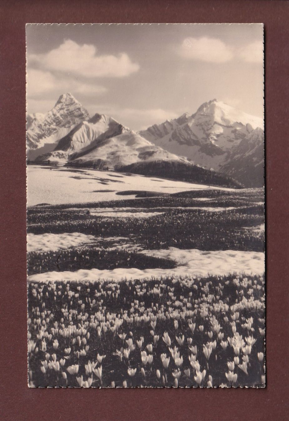 Cartoline postali: DAVOS - Bergfrühling - 1930 – Usato da Pully venduto da nicecards
