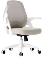 Hbada Erfonomic Desk chair