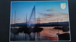 Antike Postkarte Genève