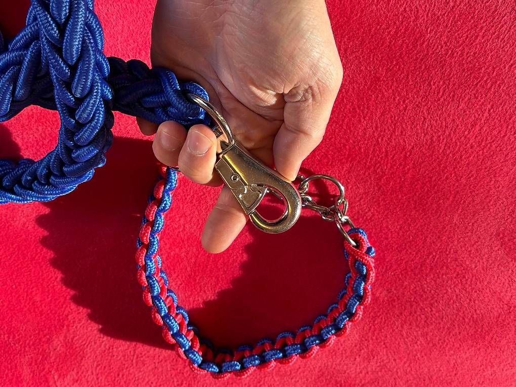 Leine & Halsband: Guinzaglio cane – Gebraucht aus Maroggia von Luca_Ferrario 2