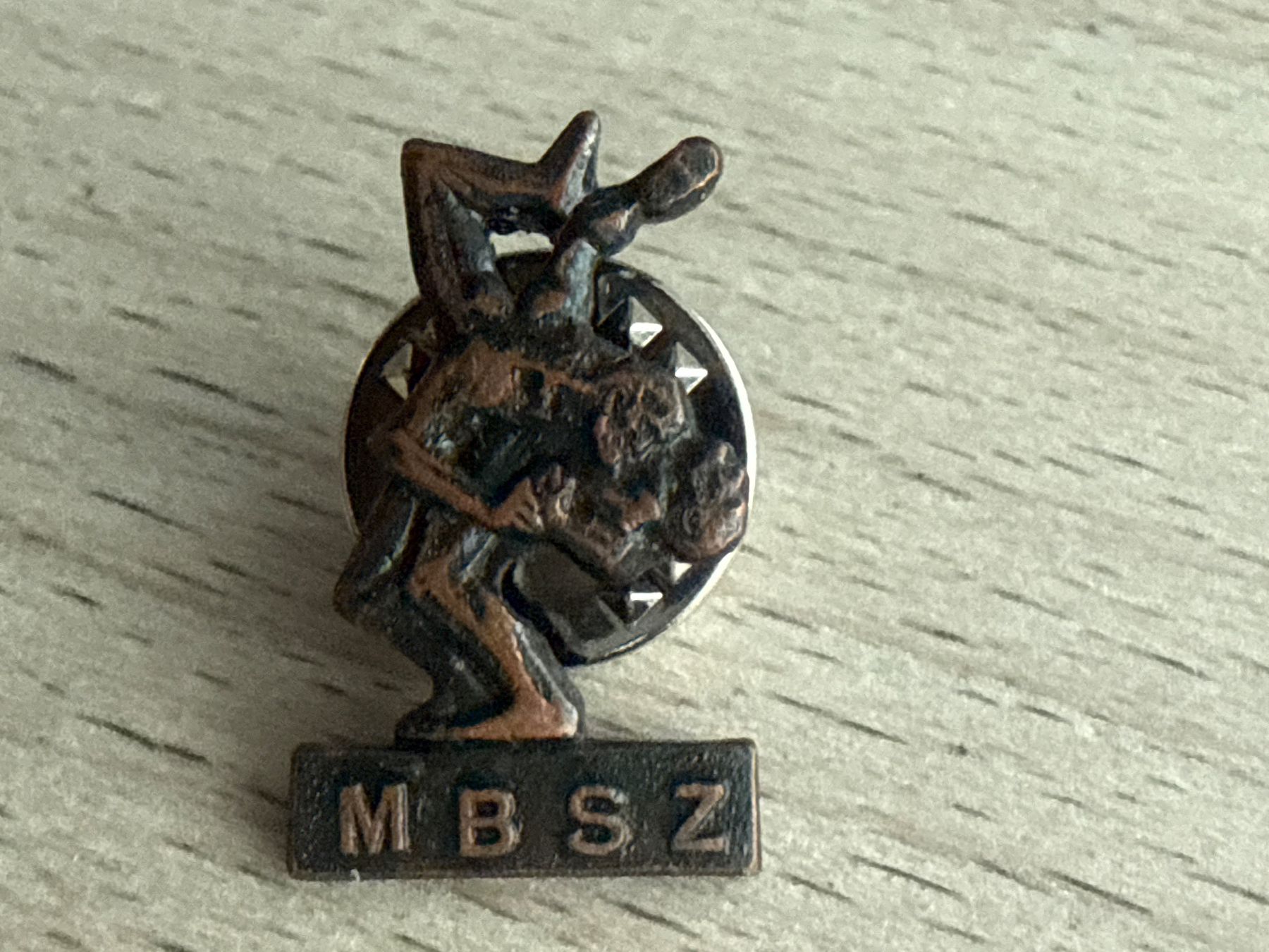 Placchette & Badge: Pin MBSZ – Usato da Glattbrugg venduto da Schweigmatt