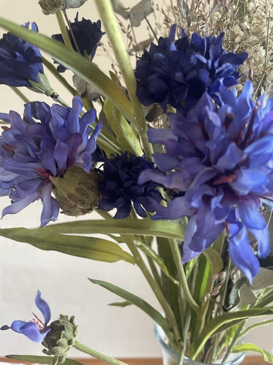 Piante & sementi: Kornblumen  – Usato da Freidorf TG venduto da ibipatria 2