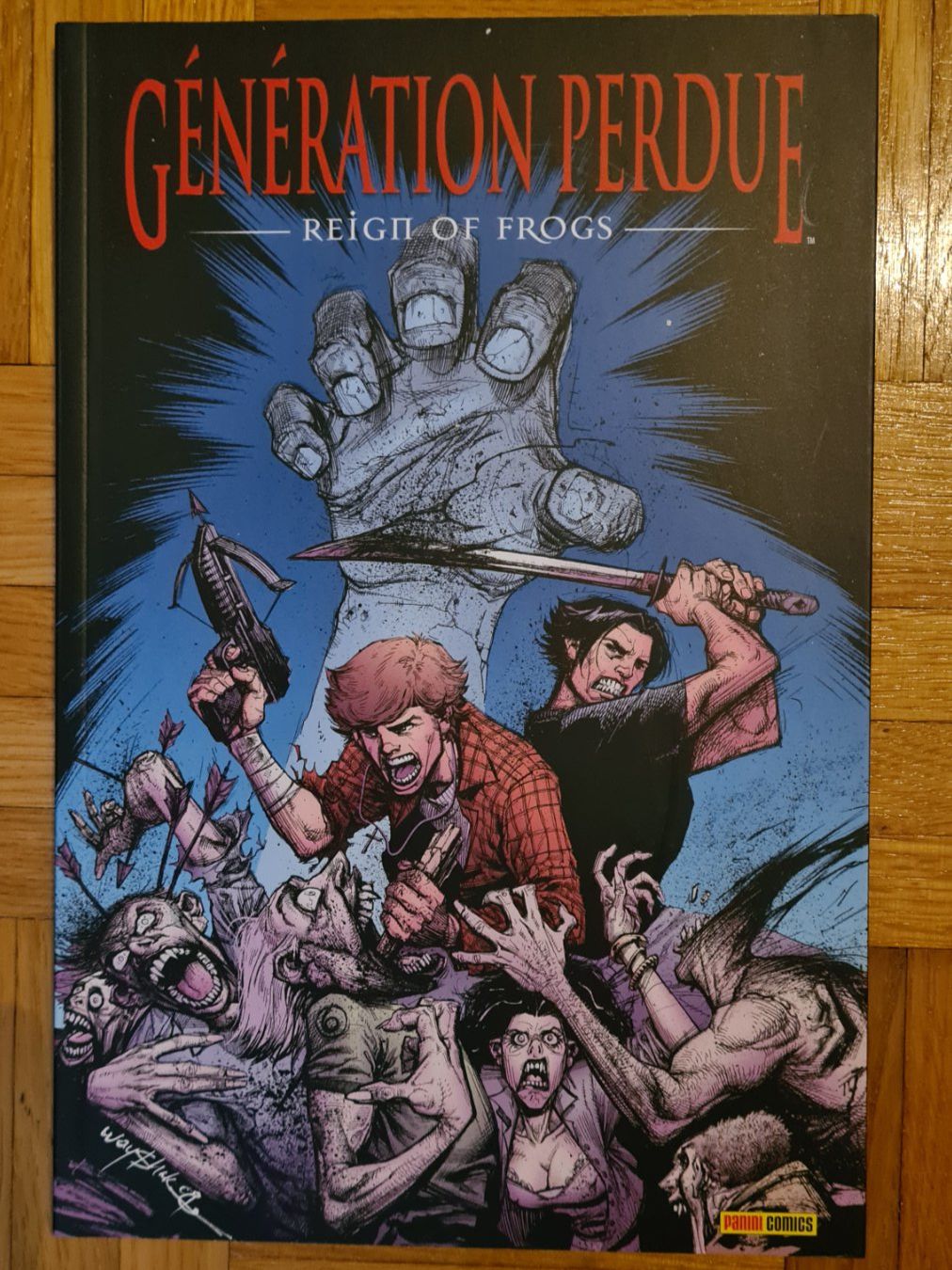 Comics: Comics (lot de 10) – Gebraucht aus Genève von fab2401 9