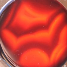 Profile image of steinepassion