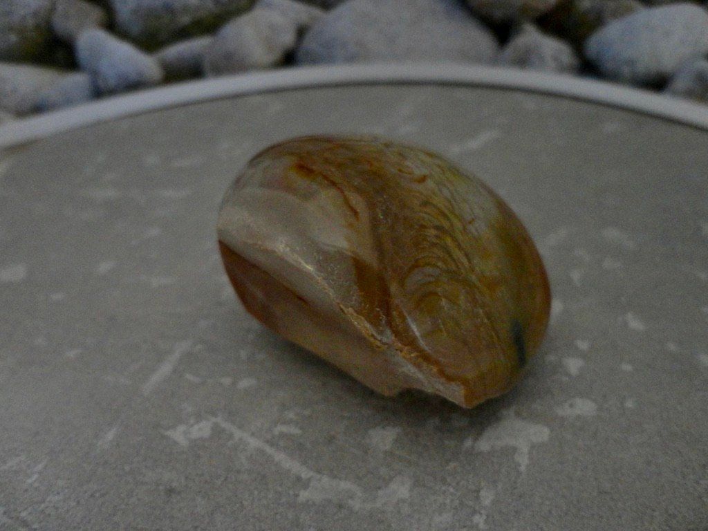 Edelsteine: Polychrom-Jaspis Anschliff – Neu (gemäss Beschreibung) aus Biberist von Steine