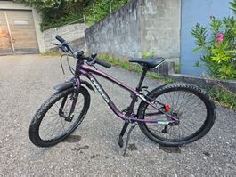 Orbea Mountain Bike MX Team 24 Zoll guter Zustand