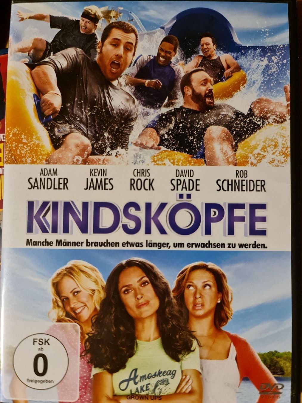 Tutti i DVDs: Kindsköpfe – Usato da Dintikon venduto da Vexi