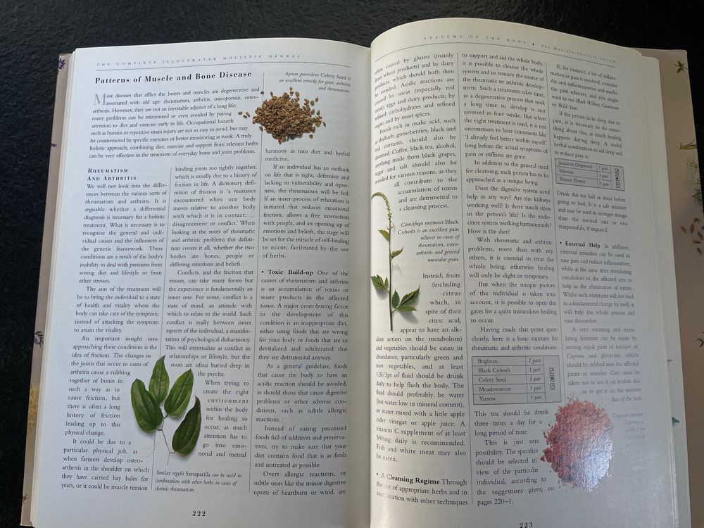 Holistic Herbal Book v. David Hoffmann fürs TCMWartezimmer Kaufen