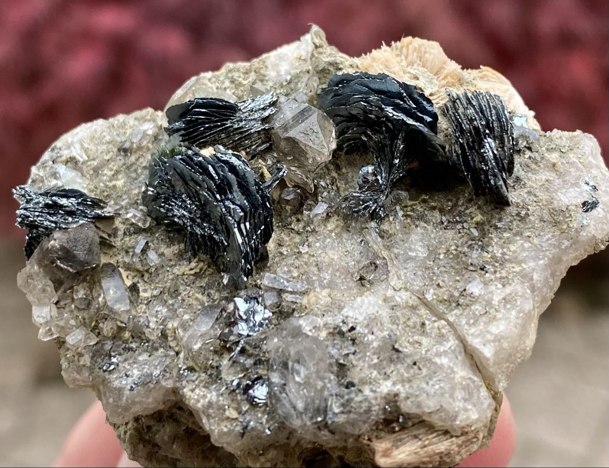Minerali & Pietre curative: Wunderschöne Eisenrosen  – Usato da Selzach venduto da 321compac 5