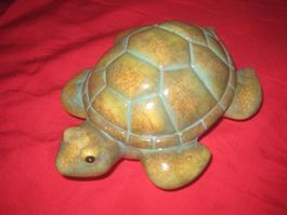 SCHWIMMENDE   SCHILDKRÖTE