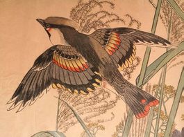 Estampe japonaise, un oiseau volant dans l'herbe