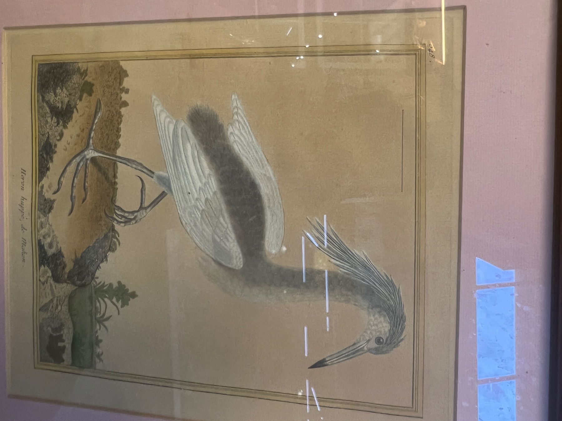 Grafiken & Lithographien: LITHOGRAPHIE HÉRON HUPPÉ – Gebraucht aus Genève von Qanil77 3