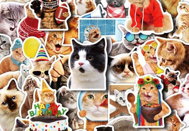 50 Stk. Sticker Aufkleber - Kawaii Lustige Katzen (Neu und ...