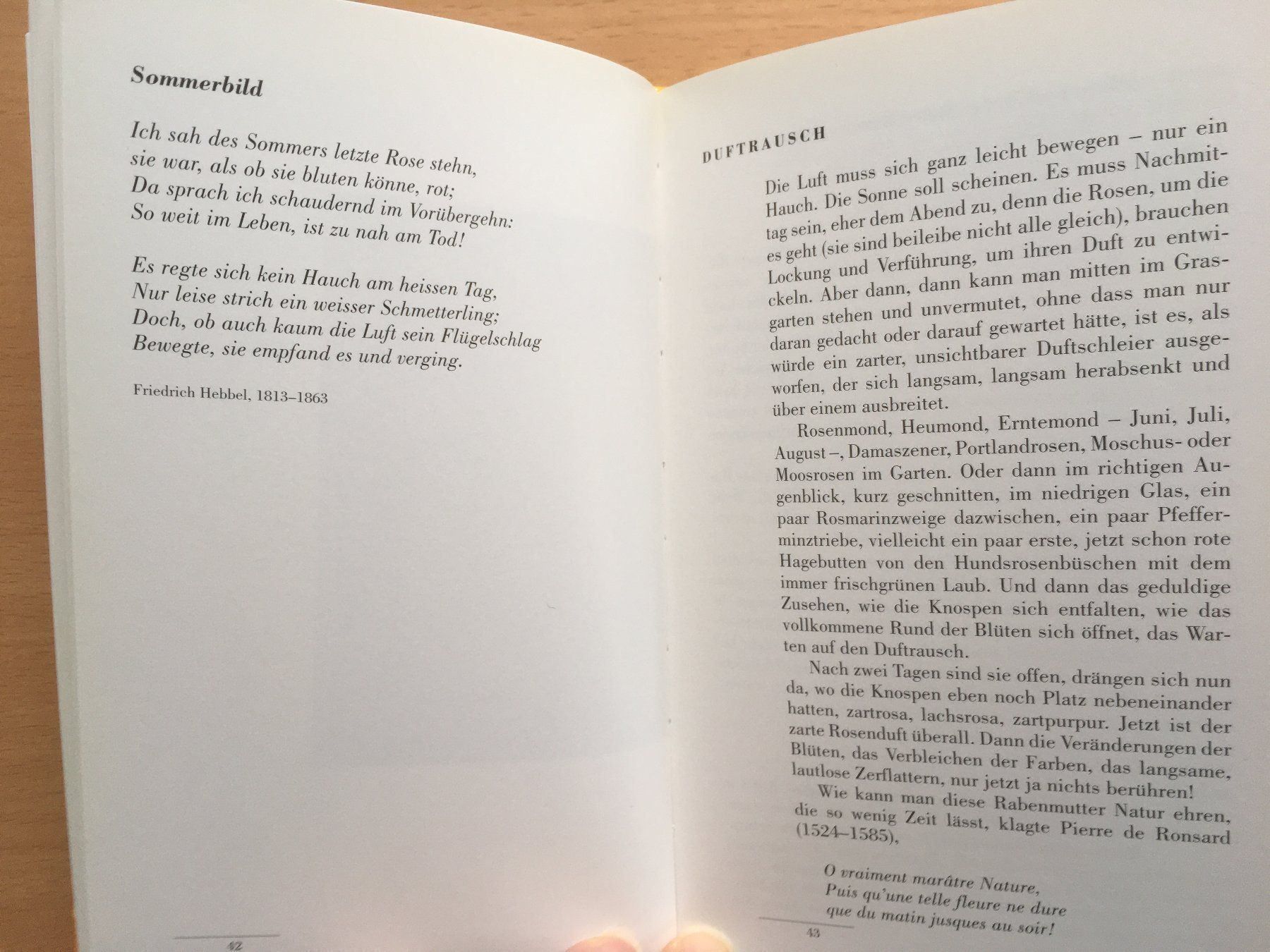 Livres: Querbeet Gartengeschichten - Reinhardt Stumm – D'occasion à Grenchen par Kogi7 7