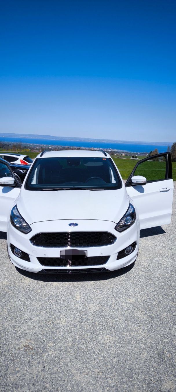 Ford Automobili: Ford S-Max S-Line – Usato da Rorschacherberg venduto da Auri80