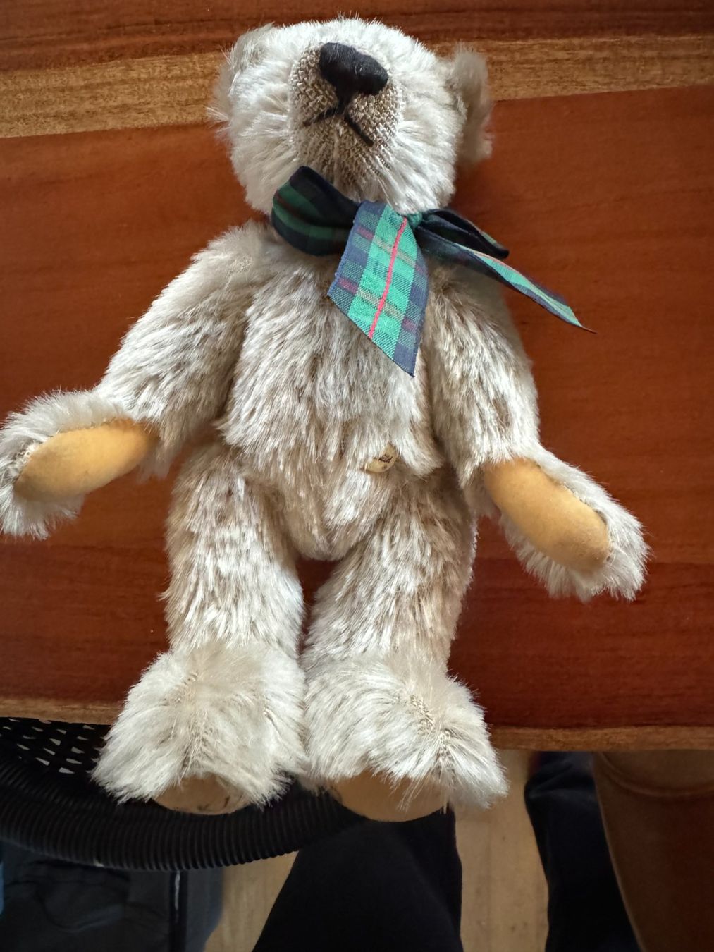 Spielzeuge: Sunkid Teddy Bear limitiert Neu – Neu (gemäss Beschreibung) aus Gockhausen von Aston 4