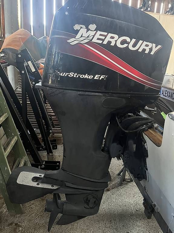 Mercury Motori: Mercury 60 PS Aussenborder Einspritzer – Usato da Wittnau venduto da Ricartutti 3