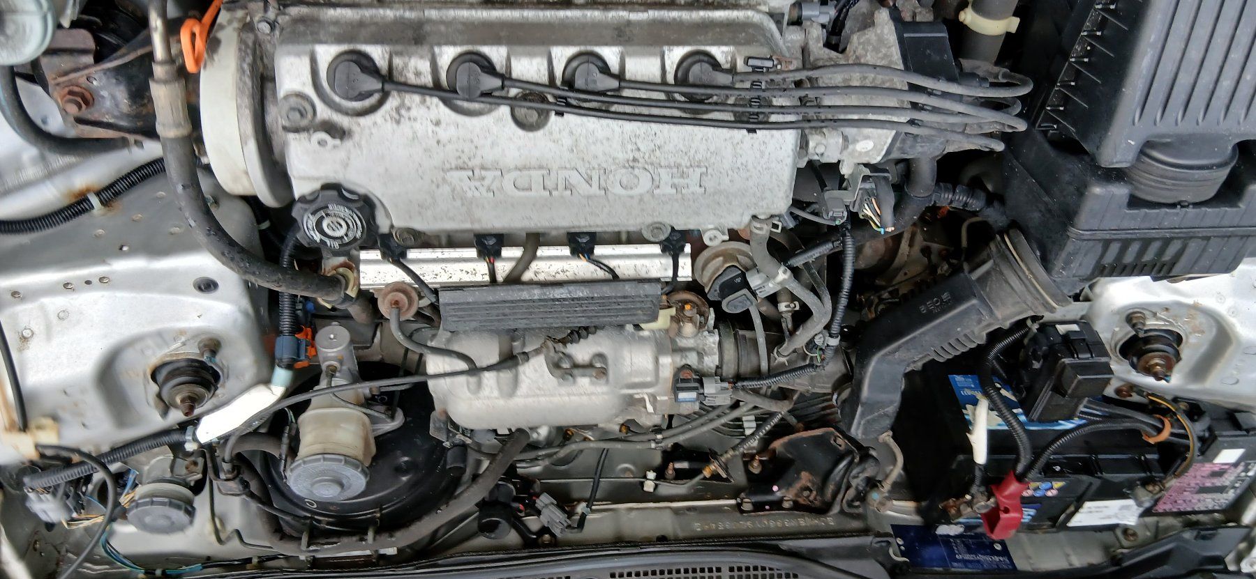 Honda Automobili: Honda Civic 1.5i VTEC – Usato da Thun venduto da zuio 3
