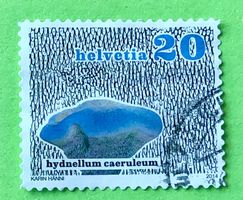 Nr.1505 Dauermarken Pilze GESTEMPELT 2014   ﻿ 
