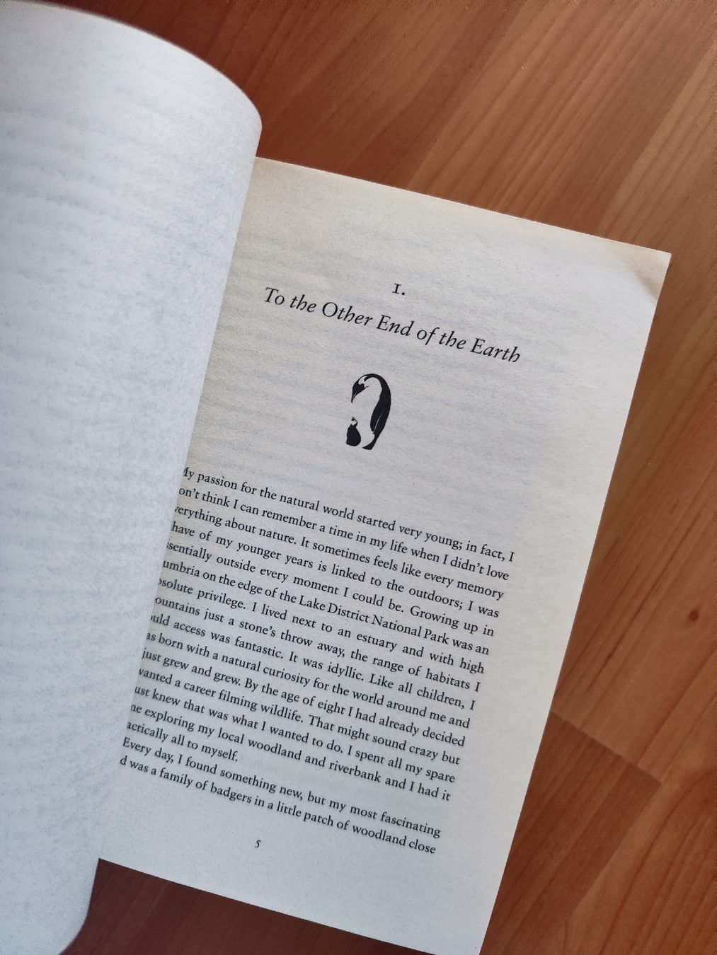 Libri: My Penguin Year Lindsay McCrae  – Usato da Mägenwil venduto da VintageGirly 7