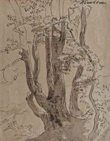 AUGUST ERXLEBEN – Baumstudie, Feder/Tusche auf Papier, 19.Jh