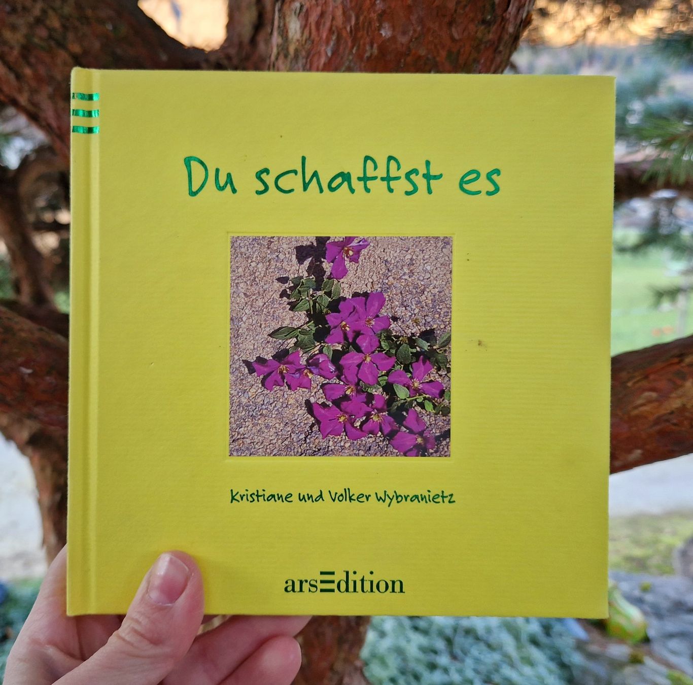 Libri: Buch/Geschenkbuch - Du schaffst es – Usato da Siblingen venduto da Vany_McDougall
