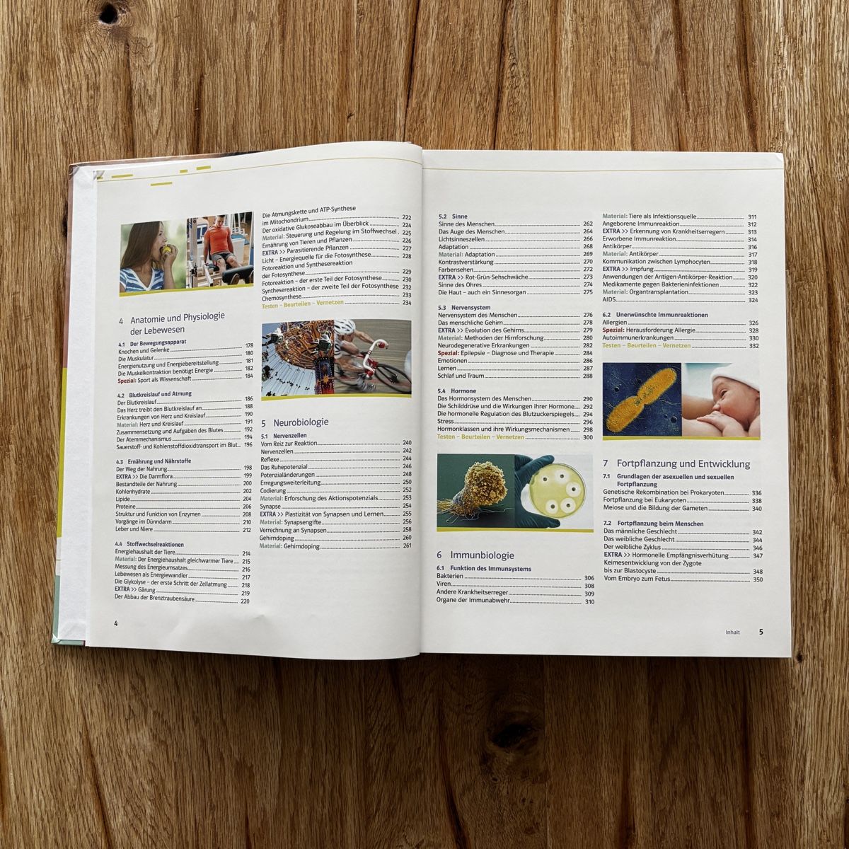 Libri: NATURA 9-12 Schulbuch – Usato da Obernau venduto da dav1de 5