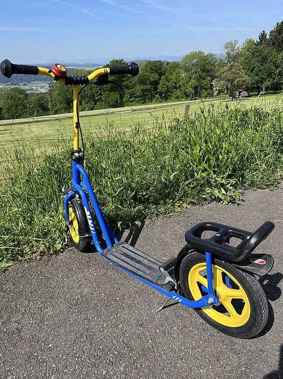 Kickboard: Trottinett – Usato da Bellikon venduto da Ndorfer 4