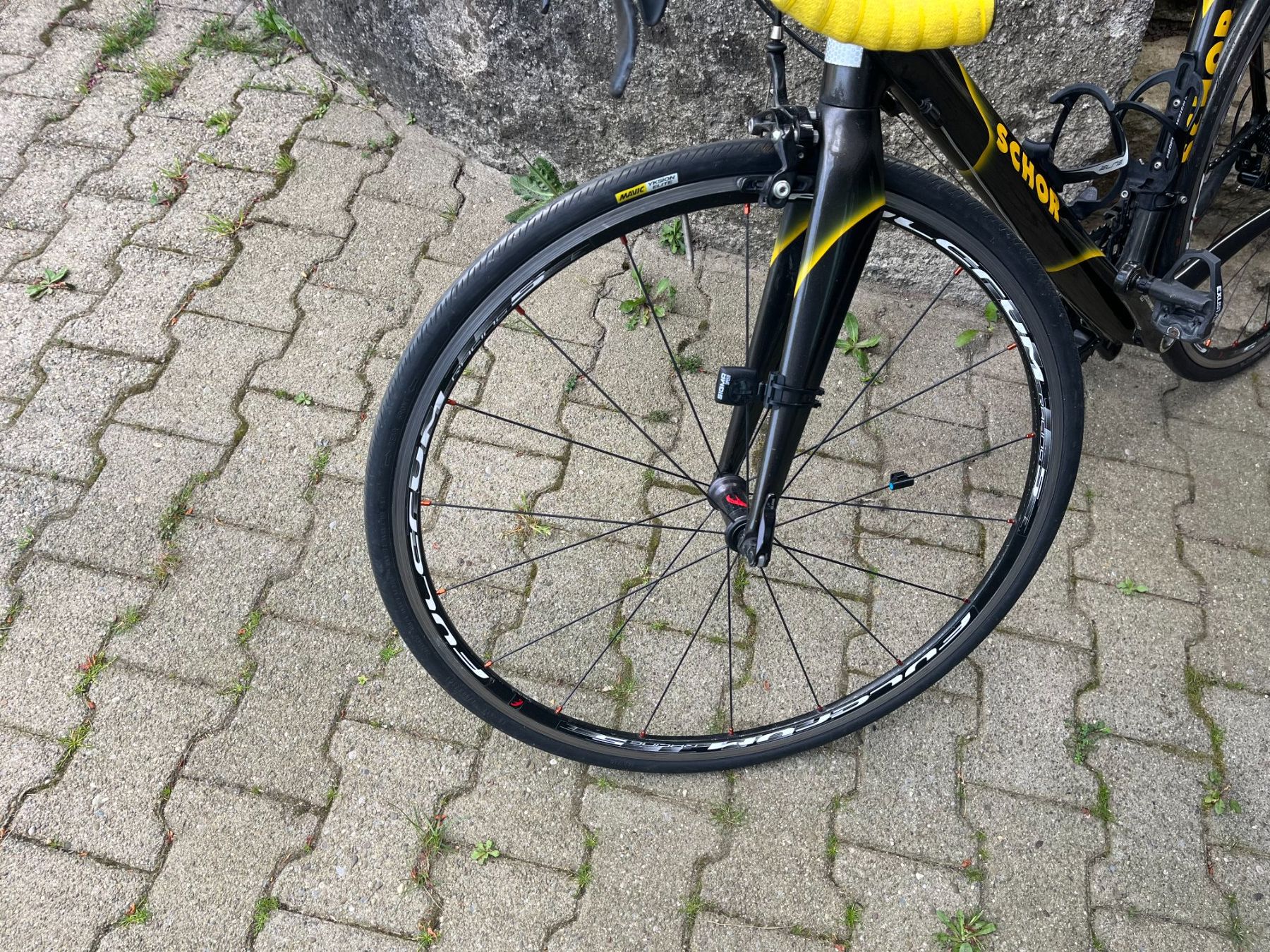 Biciclette: Rennvelo Schor, Carbon – Usato da Dintikon venduto da Redgar58 2