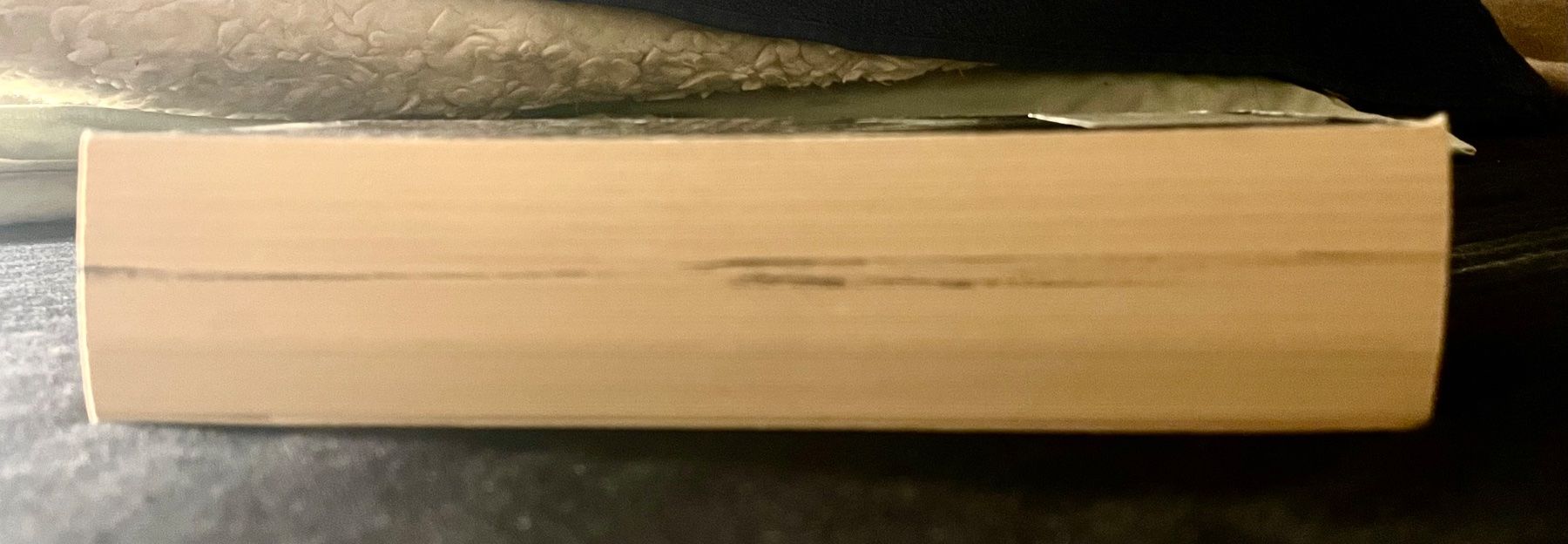 Bücher: EWIGE TREUE - SANDRA BROWN - TASCHENBUCH – Gebraucht aus Buchs AG von fischli610 1