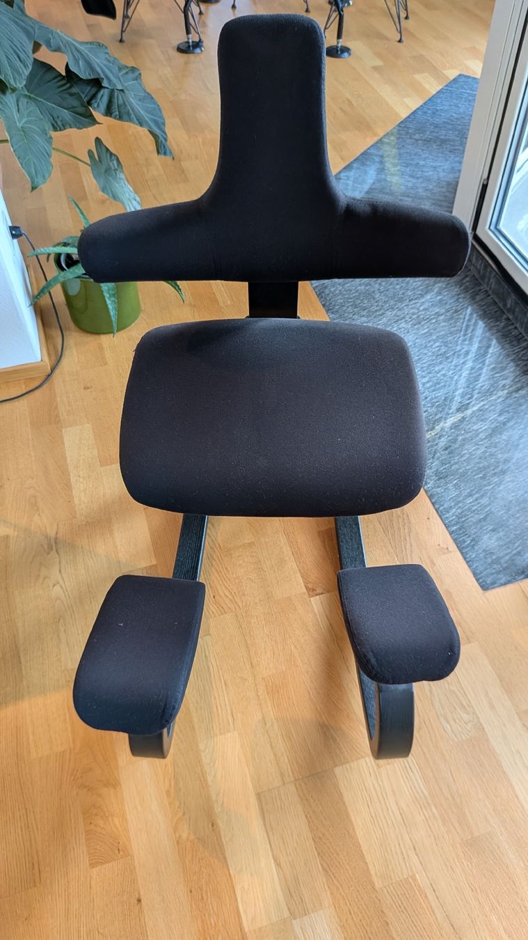 Varier Stühle: Varier Thatsit – Gebraucht aus Comano von gio_fxz9 1