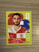 Panini CRO 7