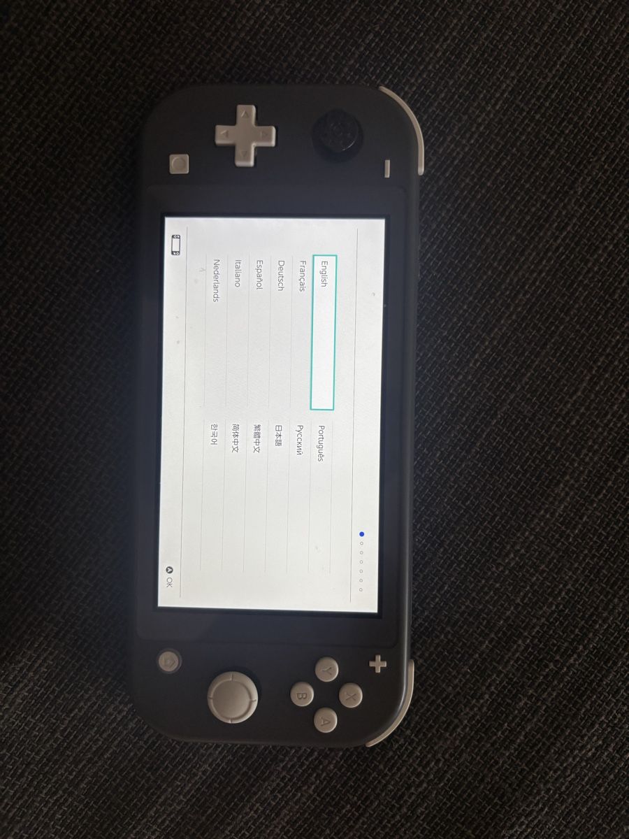 Nintendo Console: Nintendo Switch lite – Usato da regensdorf venduto da fearys