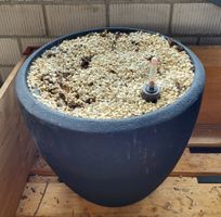Polystone Pflanzenkübel mit Granulat und Wasserstandanzeiger
