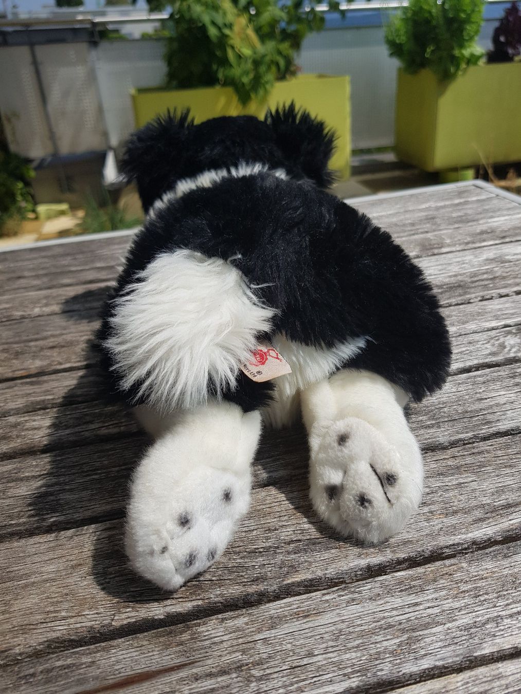 Spielzeuge: Plüschhund schwarz/weiss – Gebraucht aus Jona von dampfnuggi 3