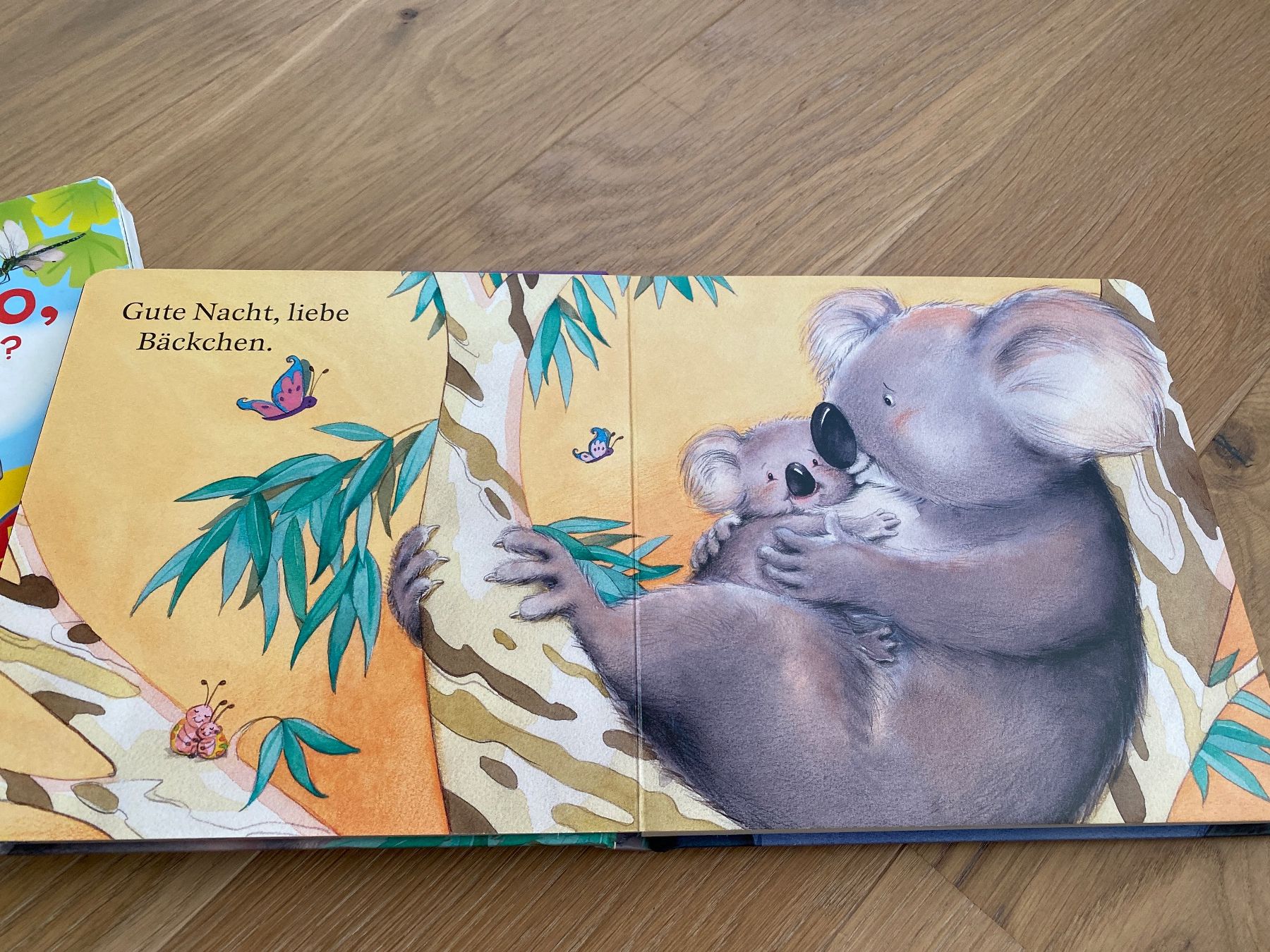 Libri: Kinderbücher – Usato da Bolligen venduto da Noeggeli10 2