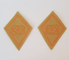 Kragenspiegel AC-Schutzdienst