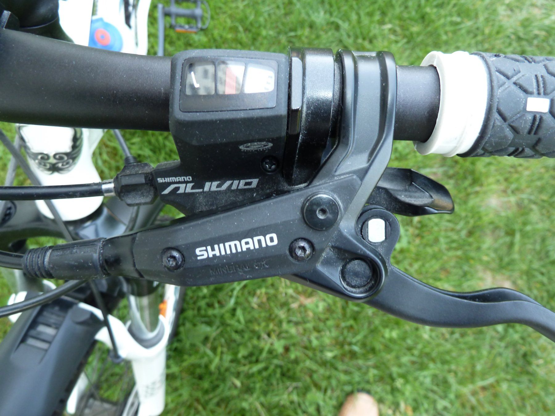 Biciclette: Mountainbike  Calofornia – Usato da Basel venduto da kapi5454 2
